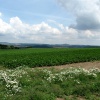 náhled tremsinsko_022.prev.jpg