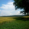 náhled plzen_sycherak_030.prev.jpg