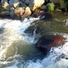 náhled vltava_20120716-191210.prev.jpg