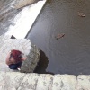 náhled vltava_20120718-122152.prev.jpg