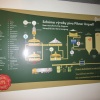 náhled skola_cepovani_20160709_162616.prev.jpg