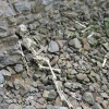 náhled fantasy_golf_20160611_121714.prev.jpg