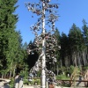náhled harrachov_liberec_20160915_162432.prev.jpg