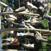 náhled harrachov_liberec_20160915_162440.prev.jpg