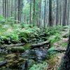 náhled harrachov_liberec_20160916_085552.prev.jpg