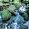 náhled harrachov_liberec_20160916_090000.prev.jpg