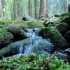 náhled harrachov_liberec_20160916_090148.prev.jpg