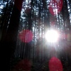 náhled harrachov_liberec_20160916_090206.prev.jpg