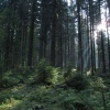 náhled harrachov_liberec_20160916_091028.prev.jpg