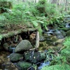 náhled harrachov_liberec_20160916_091116.prev.jpg