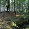 náhled harrachov_liberec_20160916_091726.prev.jpg