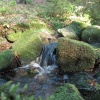 náhled harrachov_liberec_20160916_091804.prev.jpg