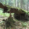 náhled harrachov_liberec_20160916_101030.prev.jpg