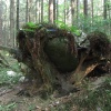 náhled harrachov_liberec_20160916_102434.prev.jpg
