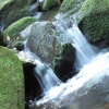 náhled harrachov_liberec_20160916_104914.prev.jpg