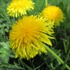 náhled narozeninovy_den_20170506_133920.prev.jpg