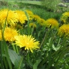 náhled narozeninovy_den_20170506_133938.prev.jpg