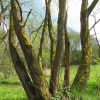 náhled narozeninovy_den_20170506_135258.prev.jpg
