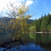 náhled cerne_a_certovo_jezero_20170930_125512.prev.jpg