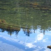 náhled cerne_a_certovo_jezero_20170930_125902.prev.jpg