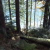 náhled cerne_a_certovo_jezero_20170930_132140.prev.jpg