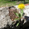 náhled zelena_hora_20190422_122234.prev.jpg