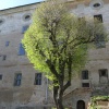 náhled zelena_hora_20190422_164628.prev.jpg