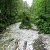 náhled slovesnky_raj_20190822_095942.prev.jpg