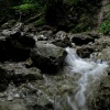 náhled slovesnky_raj_20190822_111934.prev.jpg