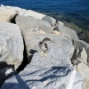 náhled marina_di_villasimius_20191003_124802.prev.jpg