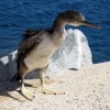 náhled marina_di_villasimius_20191003_124838.prev.jpg