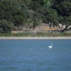 náhled marina_di_villasimius_20191003_140732.prev.jpg