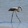náhled marina_di_villasimius_20191003_141530.prev.jpg