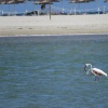 náhled marina_di_villasimius_20191003_142222.prev.jpg