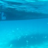 náhled marina_di_villasimius_20191004_112252.prev.jpg
