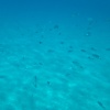 náhled marina_di_villasimius_20191004_112418.prev.jpg